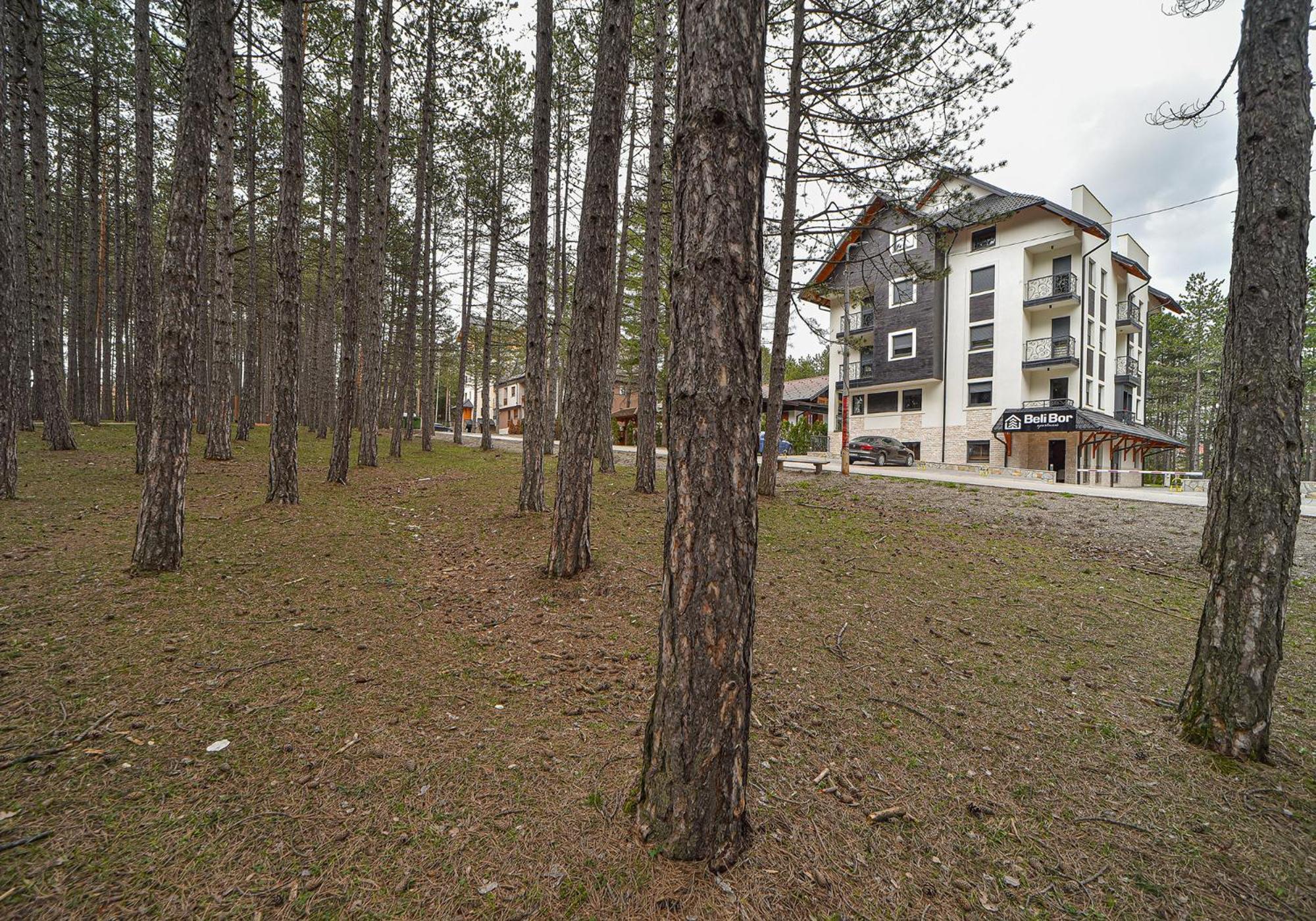 Beli Bor Zlatibor Aparthotel Bagian luar foto